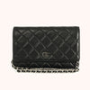 Chanel Wallet on Chain Schwarz mit Silber-Hardware