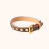 Louis Vuitton Hundeleine Monogram Canvas