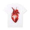 ASSC I dont know why Tee White